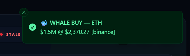 Whale Alert